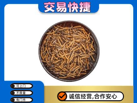 石家庄高价回收散虫草